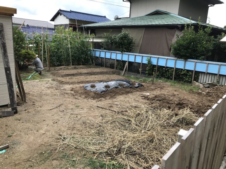 菌ちゃん畑作り、なんと柴咲コウさんも！ 福岡県大野城市の鍼灸院 鍼灸roomきゅうあん